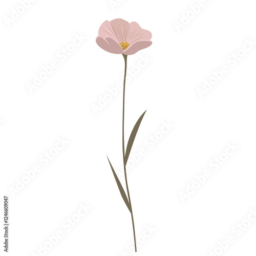 Gentle pink flower with golden center. Meadow botanical element in pastel colors. Wild flower.