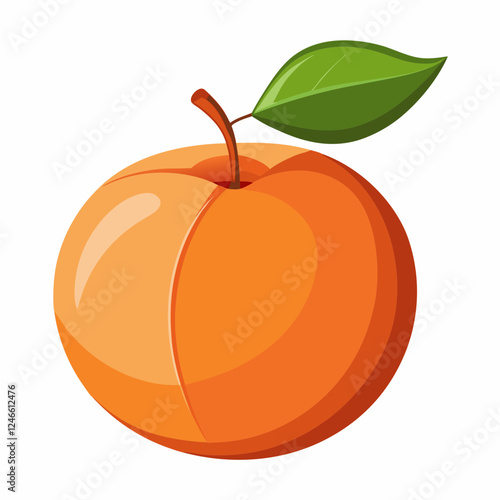 Apricot Icon with reflection on white background