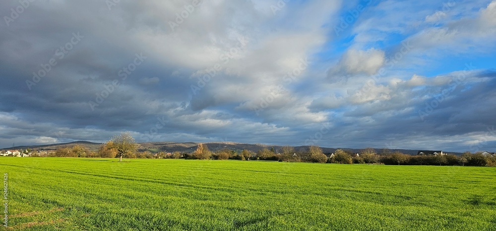 Fototapeta premium Landscapes 