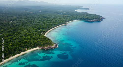 Wallpaper Mural A Stunning Aerial View Showcasing the Deep Green Forest Merging with the Vast Blue Sea, Highlighting the Harmony Between Natural Ecosystems and the Importance of Forest Conservation Torontodigital.ca