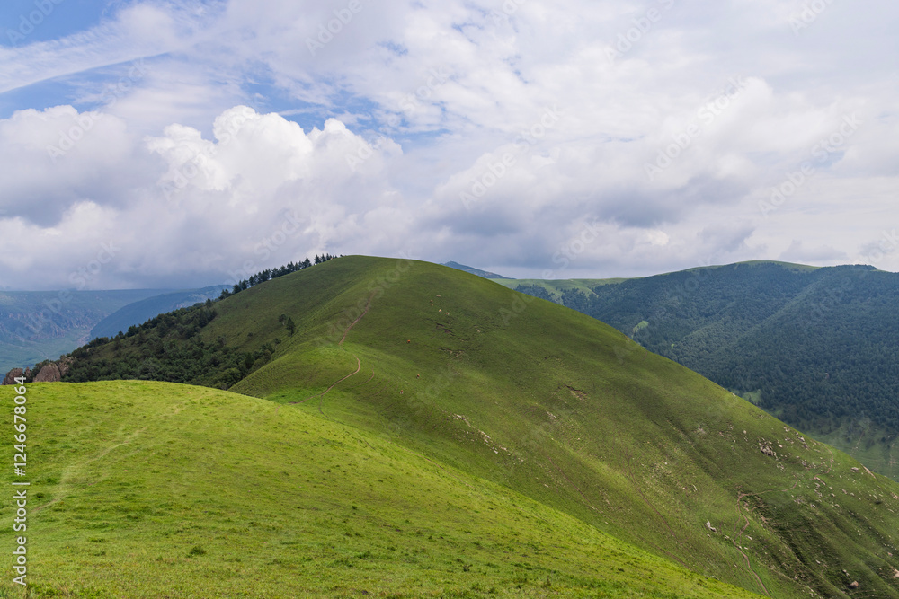 The scenery of high mountain grassland in Yu County, Hebei province The scenery of high mountain grassland in Yu County, Hebei province