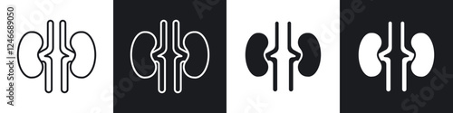 Kidney icons in solid and stroke graphics