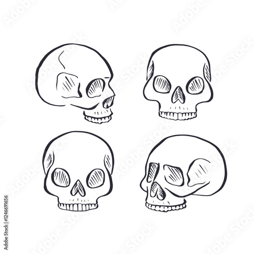 Hand drawn black and white sketchy human skulls set isolated on white background. Doodle skeleton head tattoo design