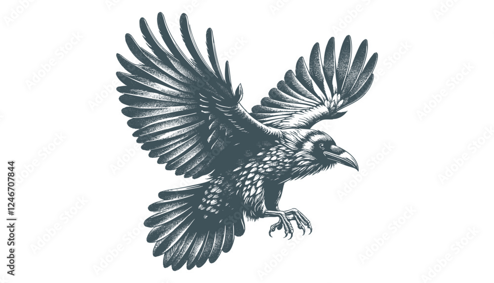 Fototapeta premium crow vector, raven vector