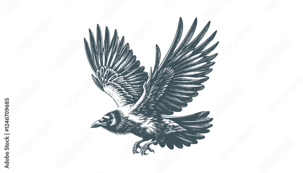 Obraz premium crow vector, raven vector