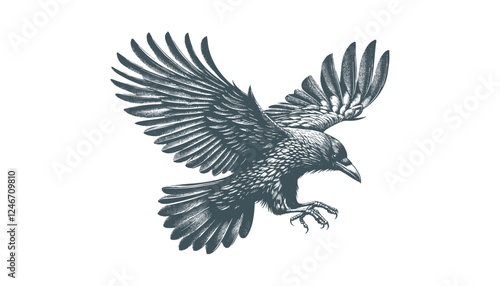crow vector, raven vector
