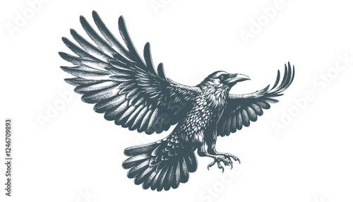 crow vector, raven vector