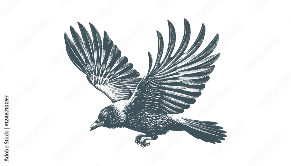 Obraz premium crow vector, raven vector