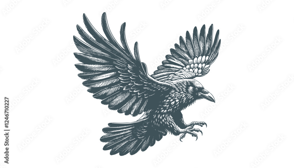 Fototapeta premium crow vector, raven vector