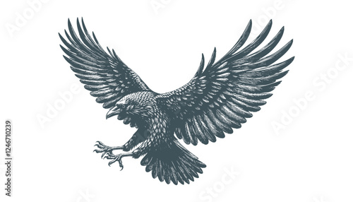 crow vector, raven vector