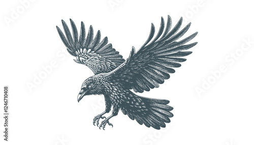 crow vector, raven vector