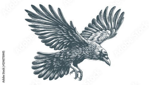 crow vector, raven vector