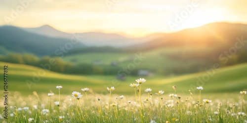 Sunset Meadow: Dandelions a...