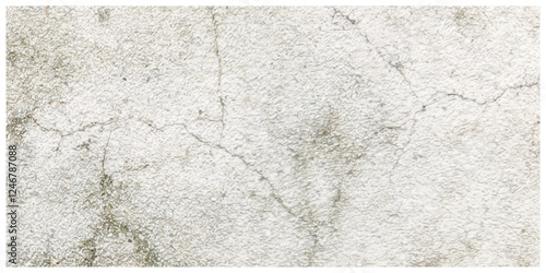 Abstract dust grunge particle and dust grain texture concrete wall grunge on white background Vector.