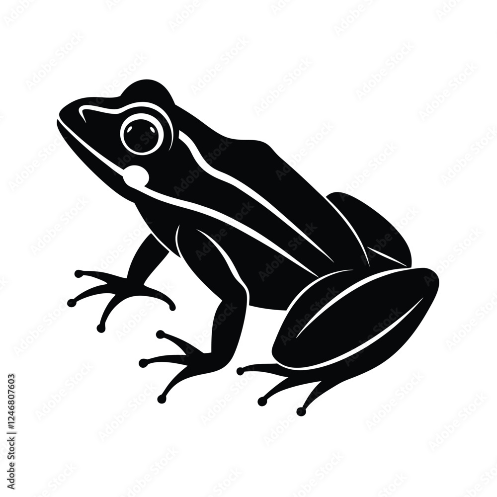 frog on a white background frog on a white background