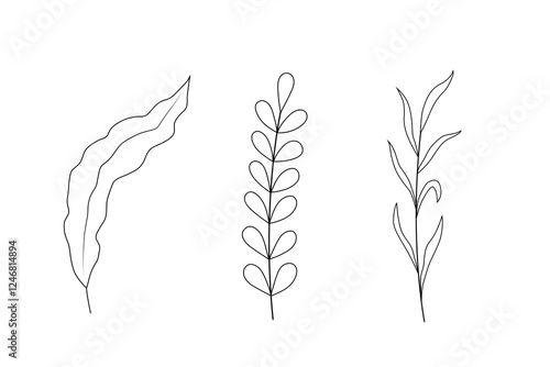 Set of black and white silhouette of seaweed. Ocean plants, underwater flora and fauna. Monochrome outline drawing. Vector illustration. Element for coloring pages, design, cards, packaging, labels