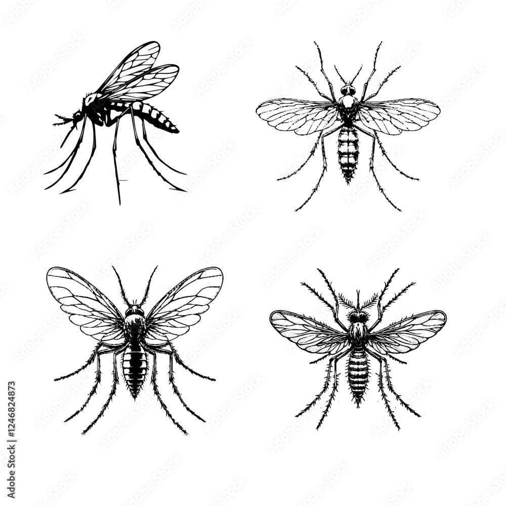 Fototapeta premium midge