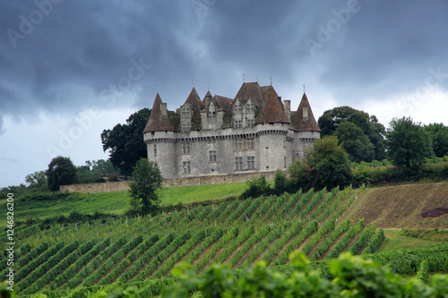 Lo Chateau de Monbazillac nei vigneti di Bergerac in Francia