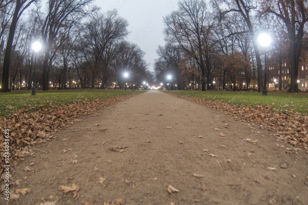 Obraz premium A path in a park with trees and leaves on the ground