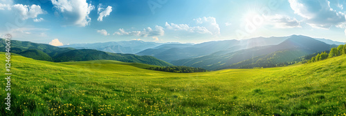 Spring green meadow with wild flowers, glass field with flowers in blue sky with cloud background for template and banner.