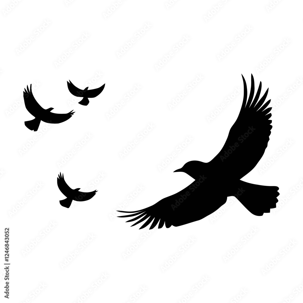 Fototapeta premium vector illustration of an eagle