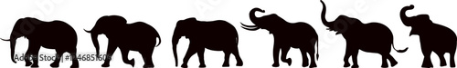 Photography elephants walking silhouette on white background vector