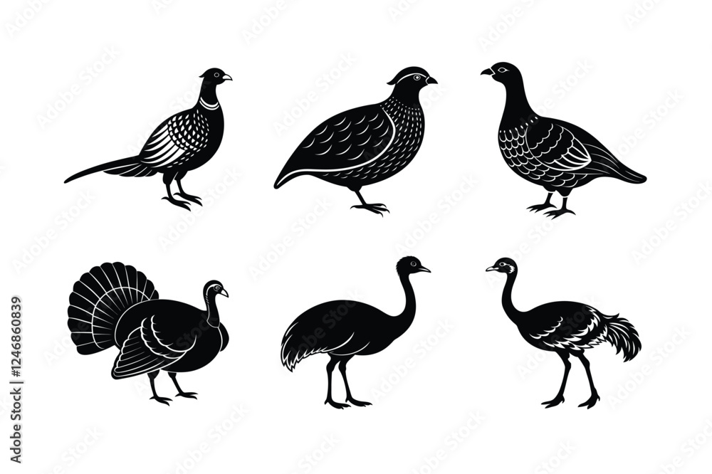 vector illustration of a set of icons vector illustration of a set of icons