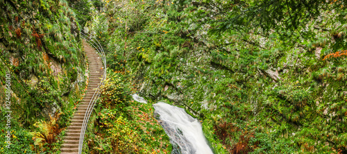 Wanderweg an den Allerheiligen Wasserfällen im Schwarzwald bei Oppenau