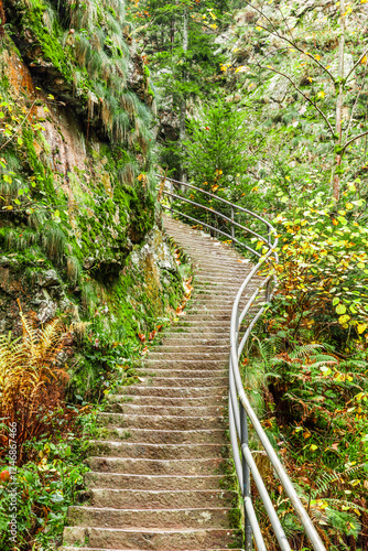 Wanderweg an den Allerheiligen Wasserfällen im Schwarzwald bei Oppenau