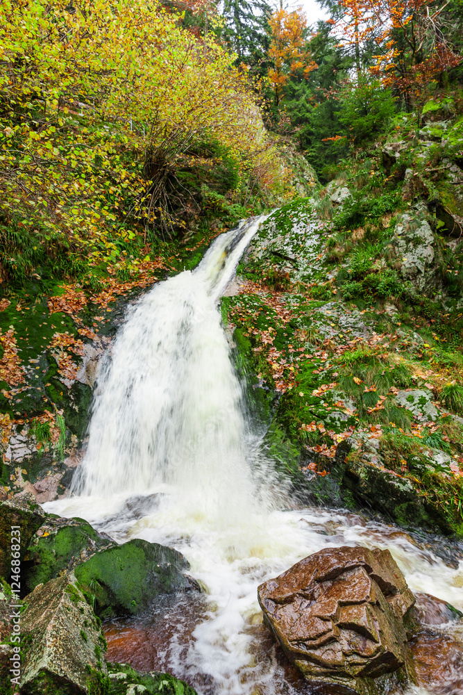 Obraz premium Allerheiligen Wasserfälle im Schwarzwald bei Oppenau