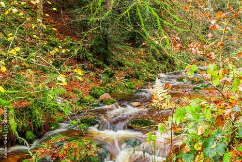Allerheiligen Wasserfälle im Schwarzwald bei Oppenau