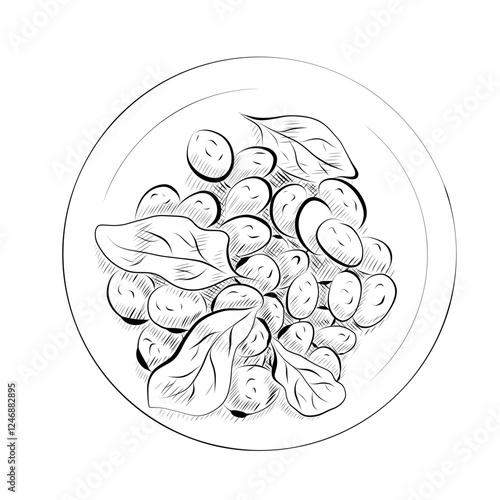 Line drawing. Line art food - Italian cuisine gnocchi plate. Vector minimalist design