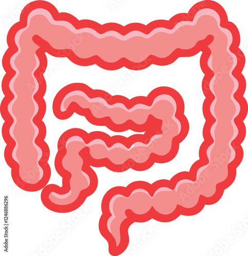 Intestines organ vector Illustration. Intestines vector art with white background. 