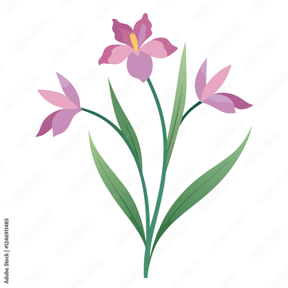 Creative Different summer flowers and gardening design on a white background Creative Different summer flowers and gardening design on a white background