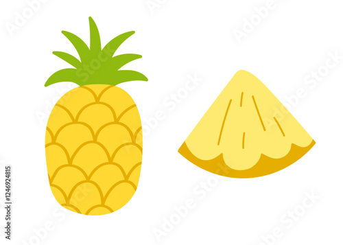 Pineapple tropical fruit abstract flat vector set