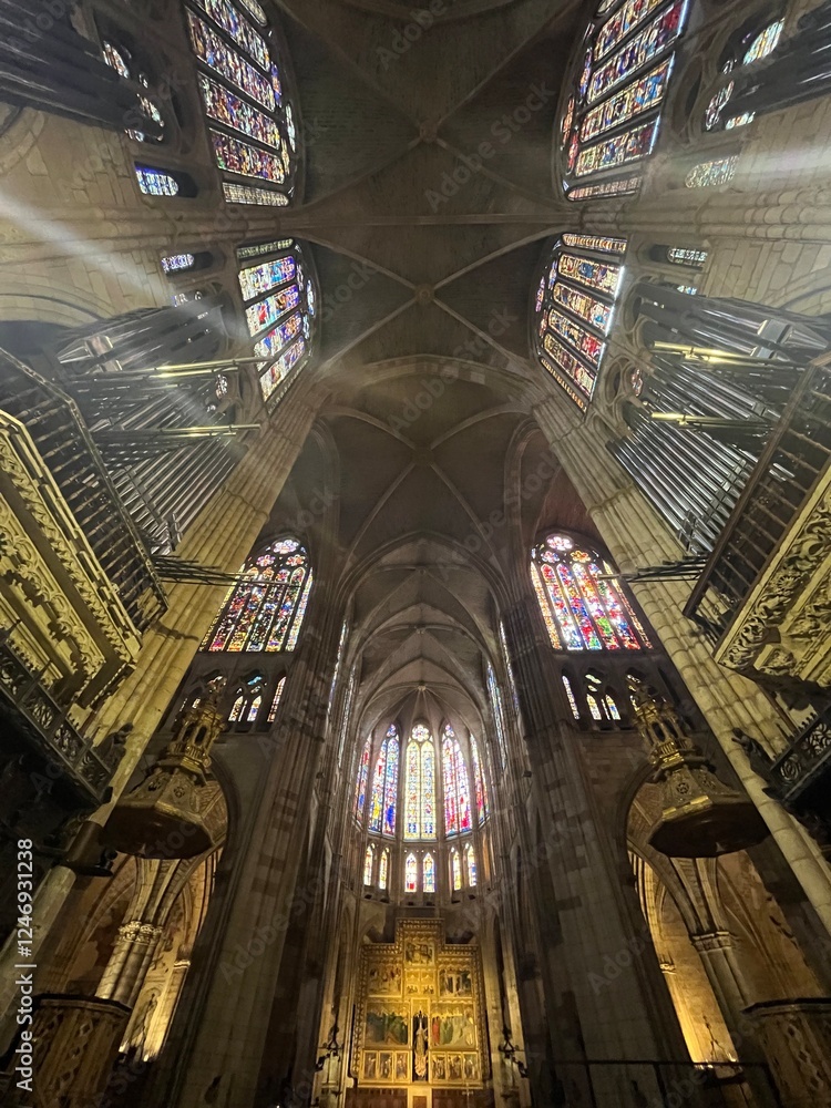Obraz premium Puertas, techos y fachada de la catedral de León. Visita guiada. Catedral cristiana España