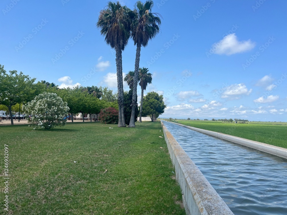 Obraz premium Paisaje de un arrozal en el delta del Ebro