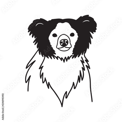 Sloth Bear Wildlife Photography – Unique and Elusive Mammal