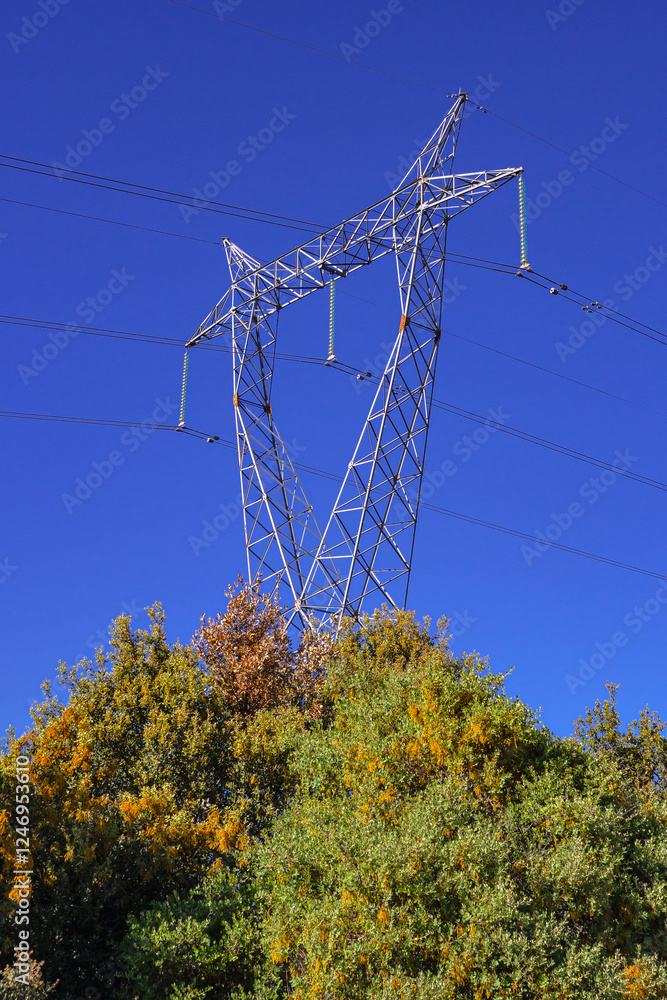 Fototapeta premium High Voltage Electric Energy Transportation Tower