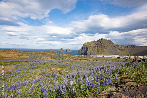 Westman islands archipelago, photo