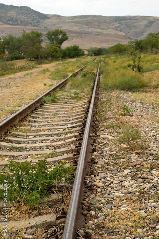Fototapeta premium Railroad tracks by the mountains, vertical picture