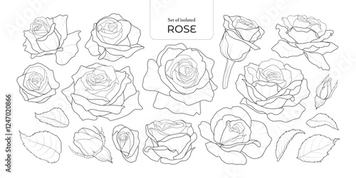 Set of isolated Rose. Cute flower illustration in hand drawn style. Black outline and white plain on a transparent background. Volume 2.