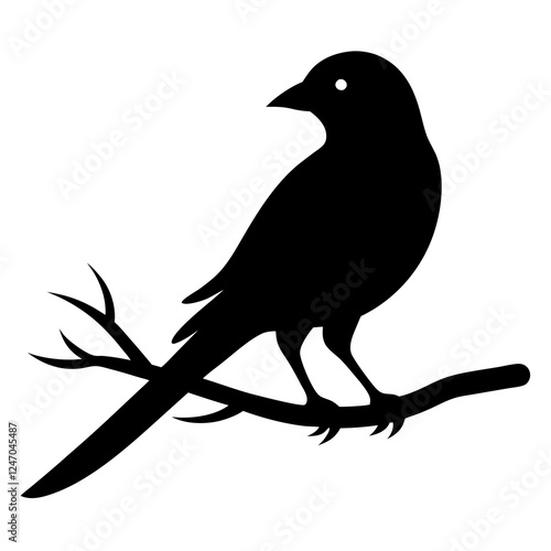 vector illustration of a bird