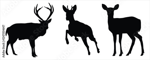 silhouettes set  of deer