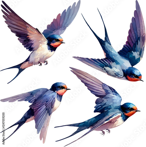 set with swallows in watercolor style. watercolor birds swallows