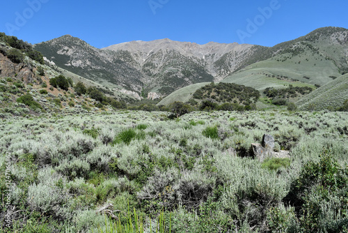 Bunker Hill (11,477') the highpoint of Lander County in the Toiyabe Range of Nevada.
 photo