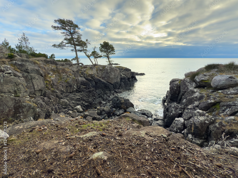 Rugged rocky coast on a cloudy day in the Pacific Northwest Rugged rocky coast on a cloudy day in the Pacific Northwest