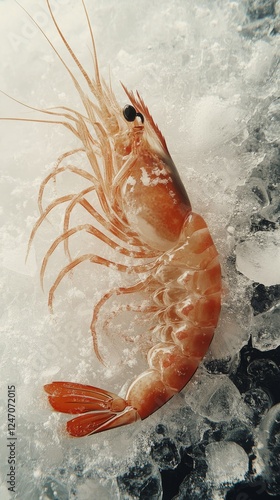 Fresh shrimp displayed on ice at a seafood market early in the morning