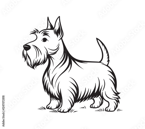 Minimalist, black-and-white line art illustration of a Scottish terrier dog