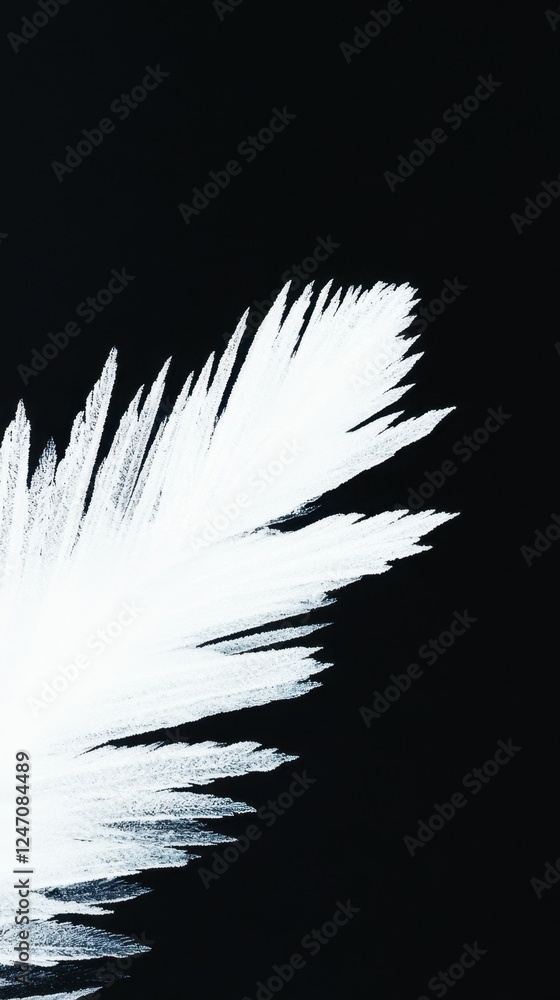 Obraz premium Abstract white feather pattern on black background